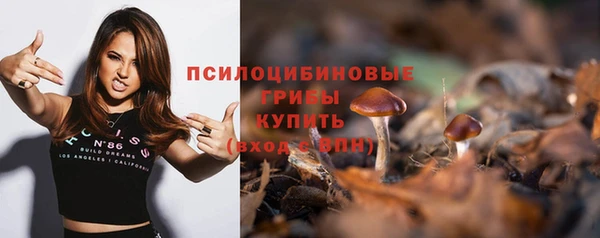 Альфа ПВП Балабаново