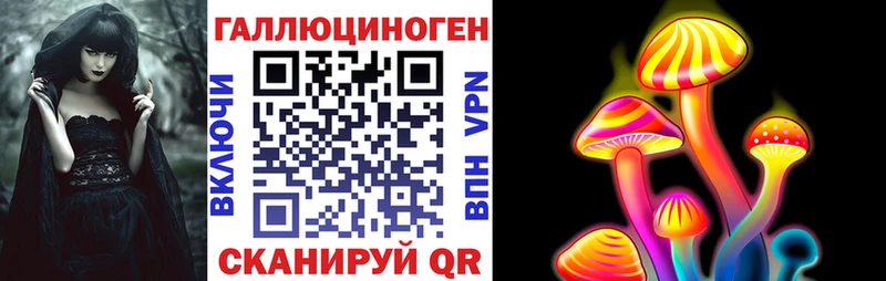 МЕГА как зайти  цена   Суворов  Псилоцибиновые грибы прущие грибы 